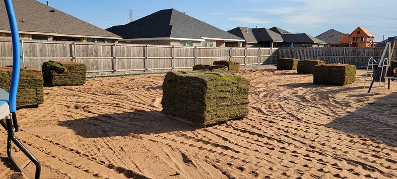 Sod Installation & removal services 