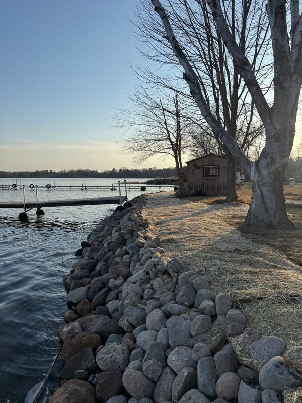 Shoreline Restoration