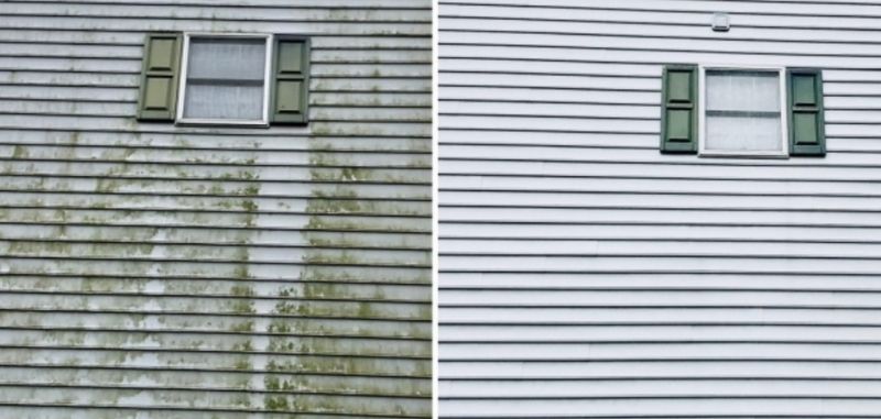 Moss Removal