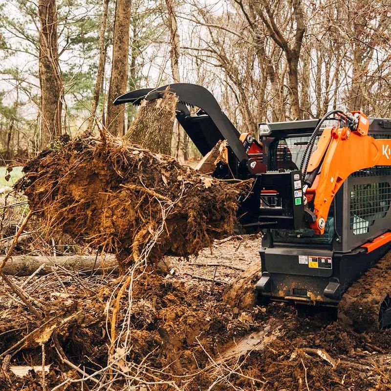 Stump Removal