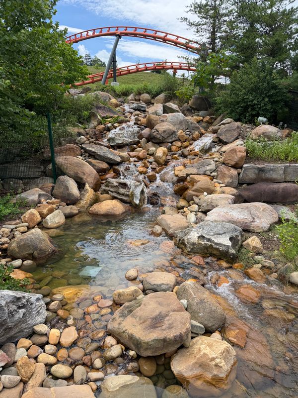 Water Features
