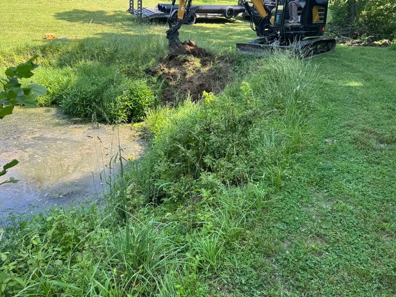 Land Clearing