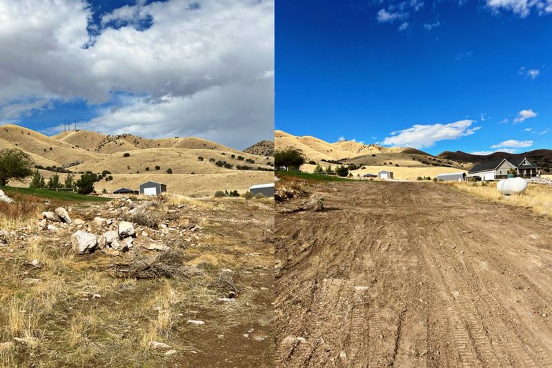 Land Clearing