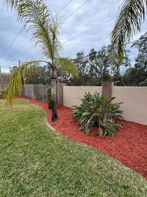 Garden Design and Installation