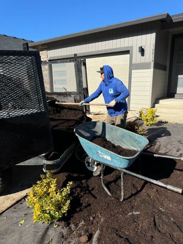 Winter and Fall Clean Up