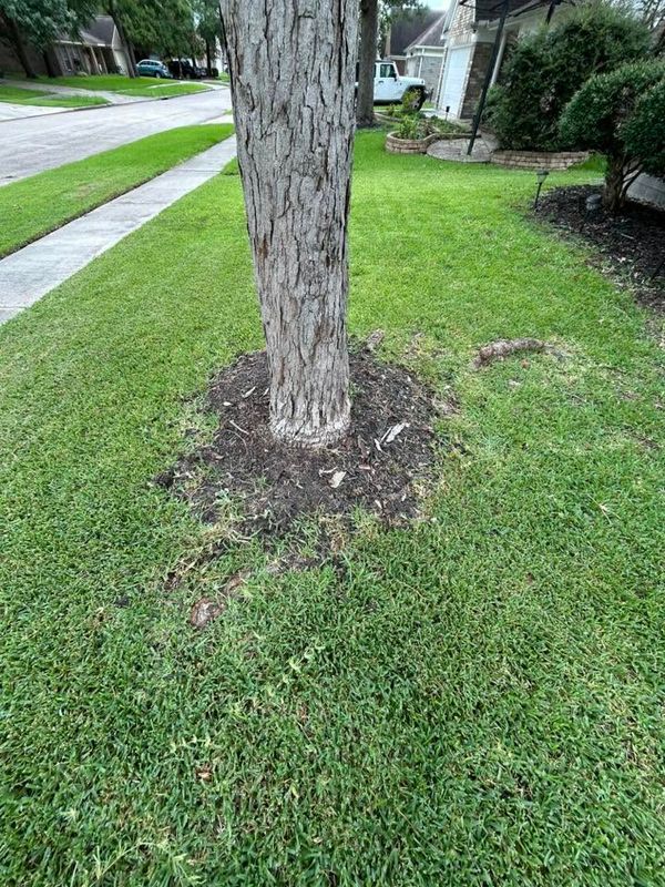 Lawn Mowing