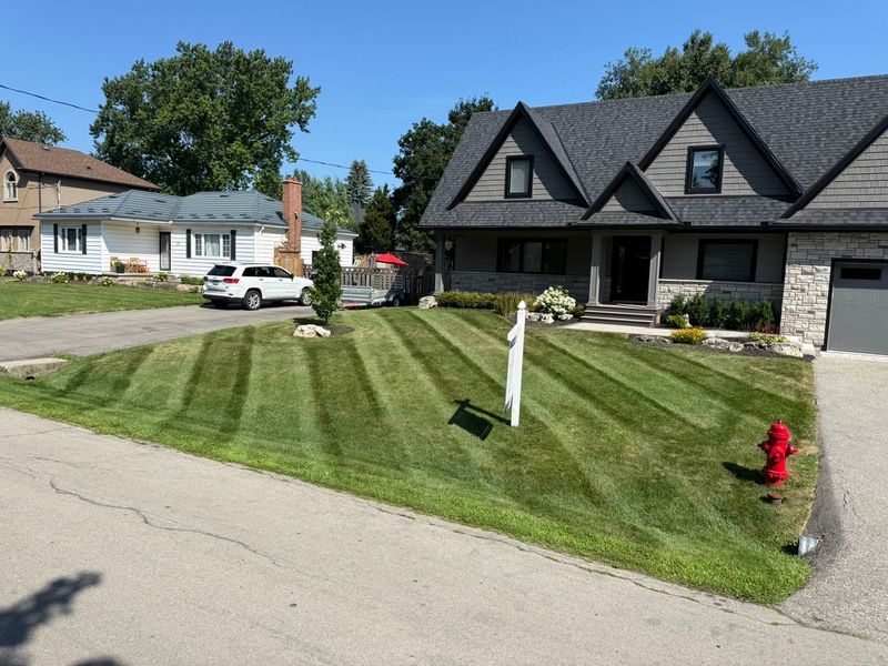 Lawn Mowing