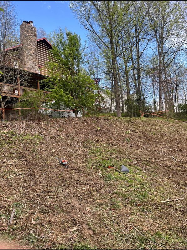 Land Clearing