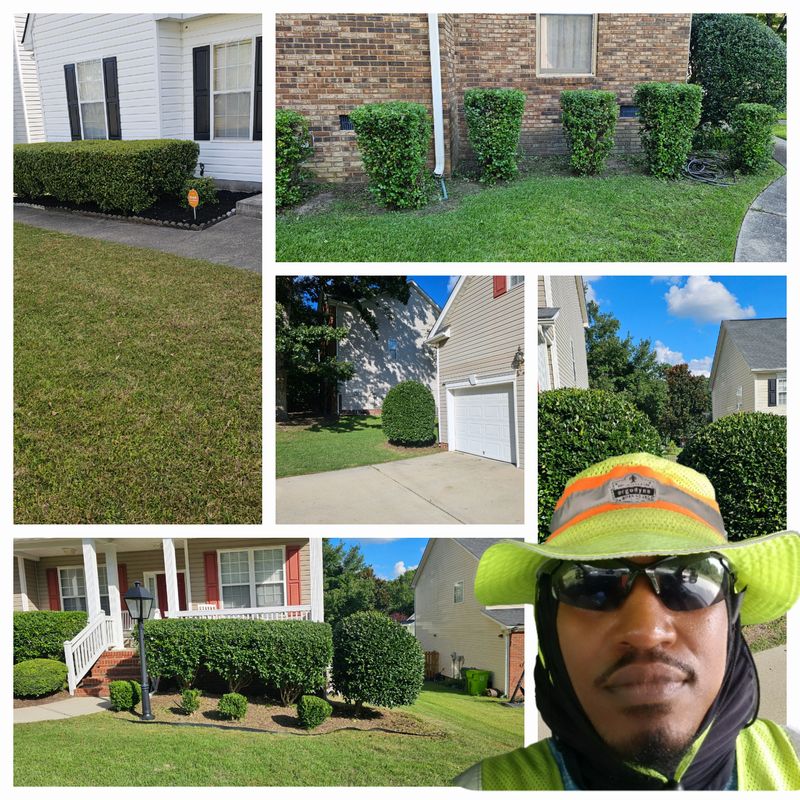 Shrub Trimming