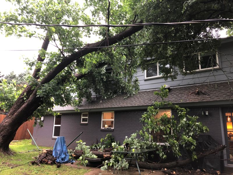 Emergency Tree Service