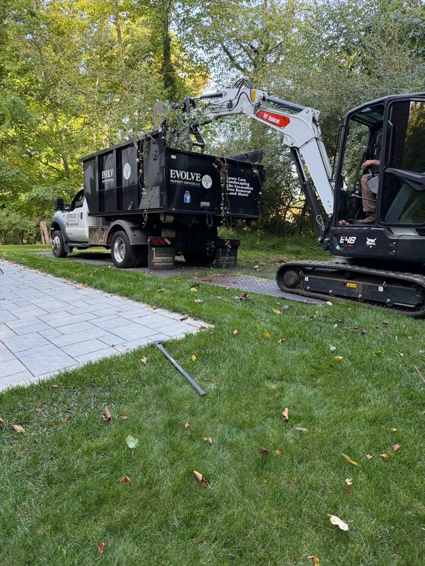 Tree Removal