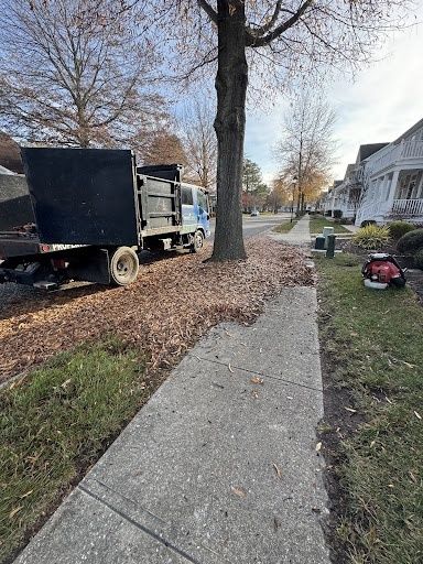Fall Clean Up