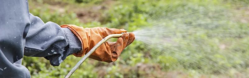 Weed Control