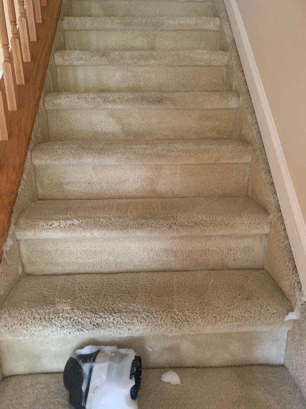 Carpet Cleaning