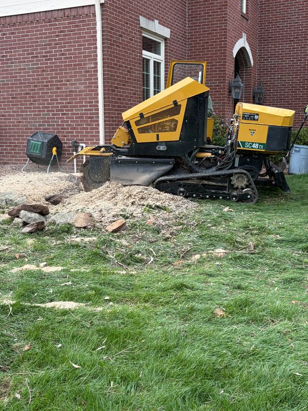 Stump Removal