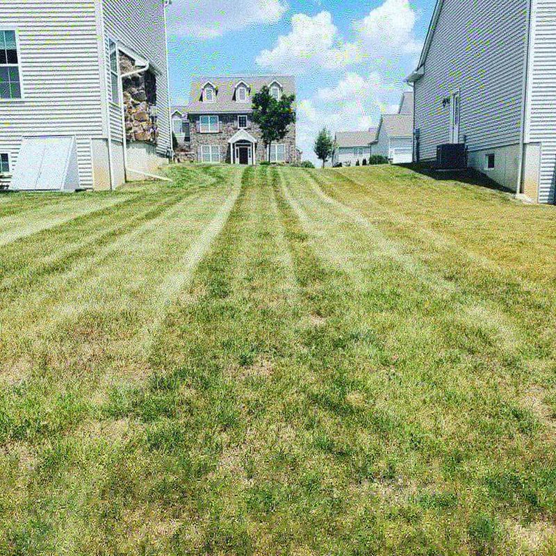Lawn Care