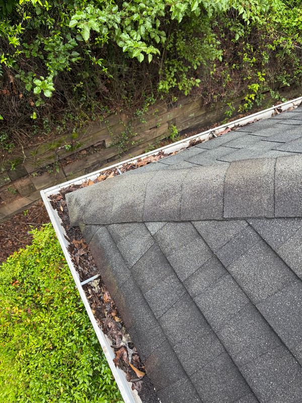 Gutter Cleaning