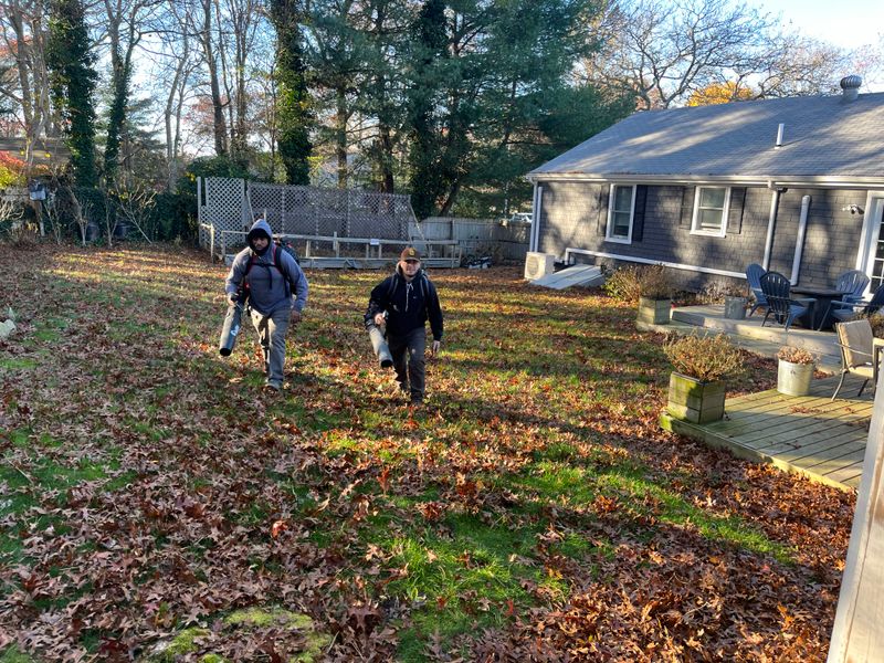 Fall CleanUp