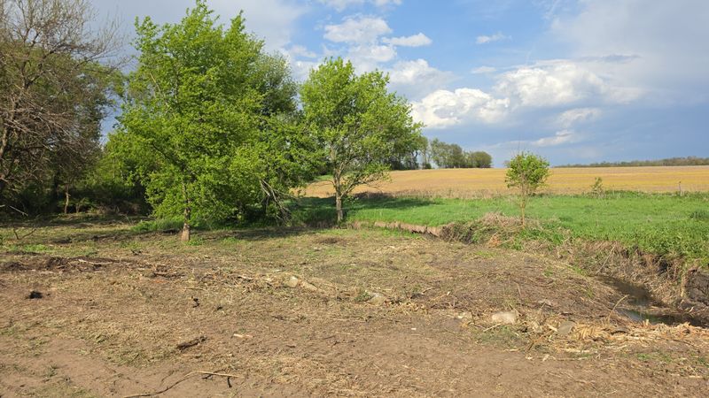 Land Clearing
