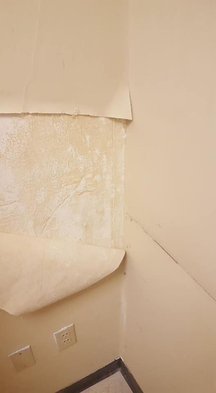 Interior Repairs