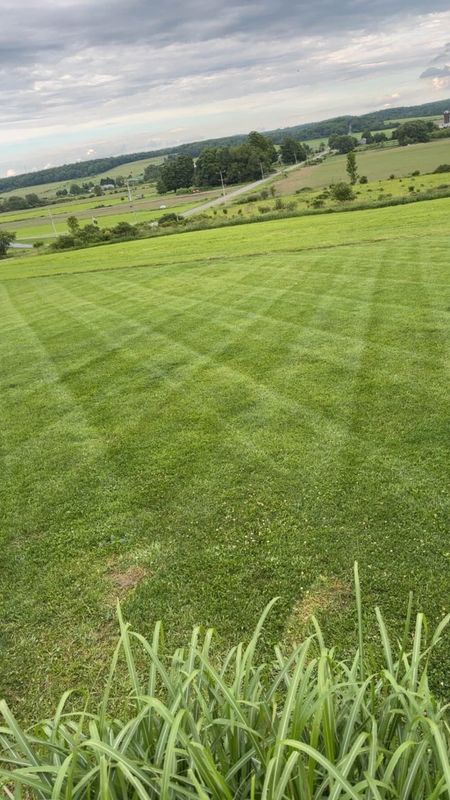 Mowing