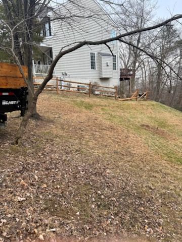 Tree Clean Up