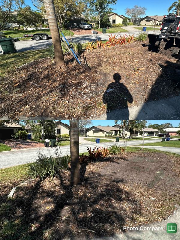 Stump Removal