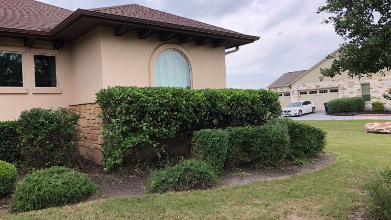 Hedge Trimming