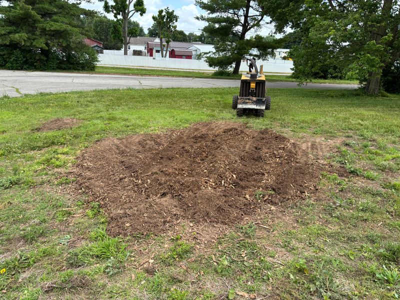 Stump Removal