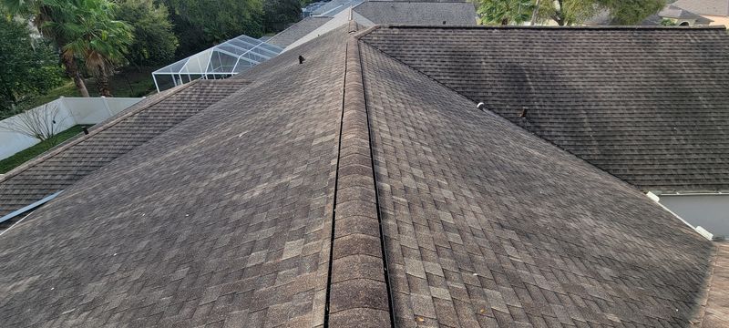 Shingle Roof Cleaning