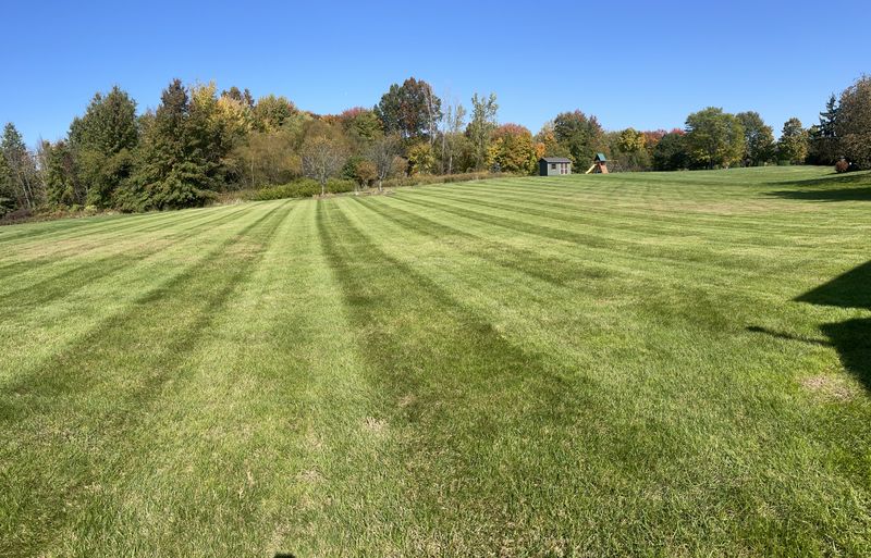 Mowing