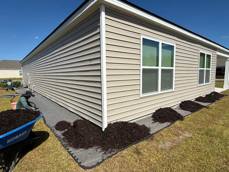 Landscaping 