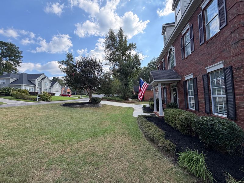 Bush & Shrub Trimming