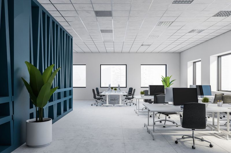Commercial Painting