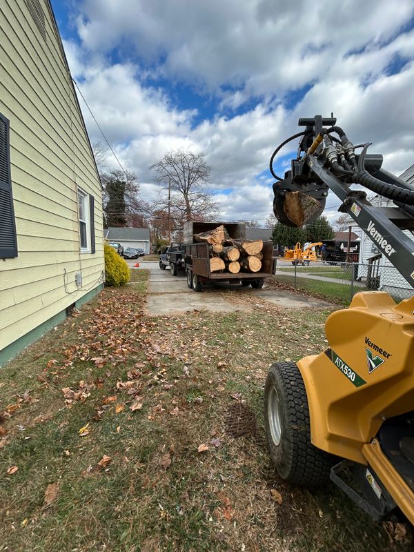 Stump Removal