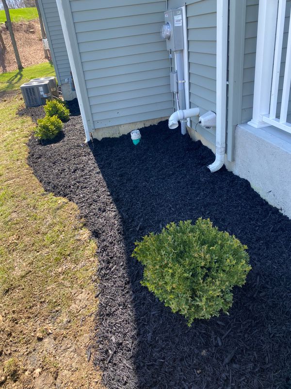 Mulch Installation