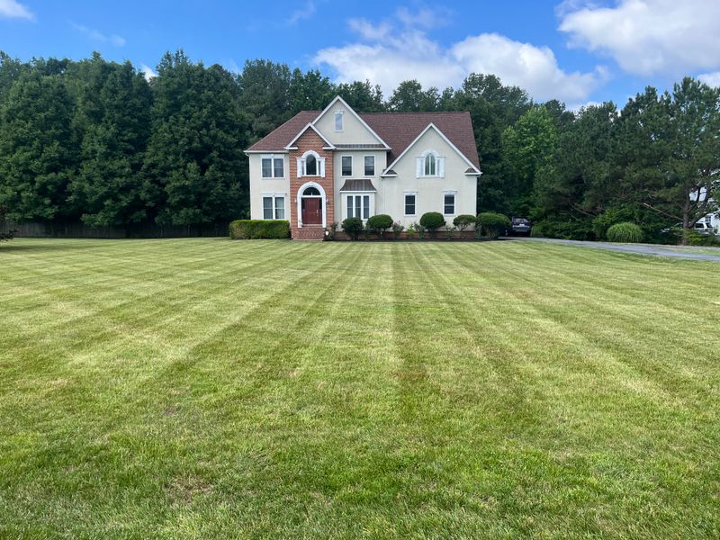 Lawn Maintenance