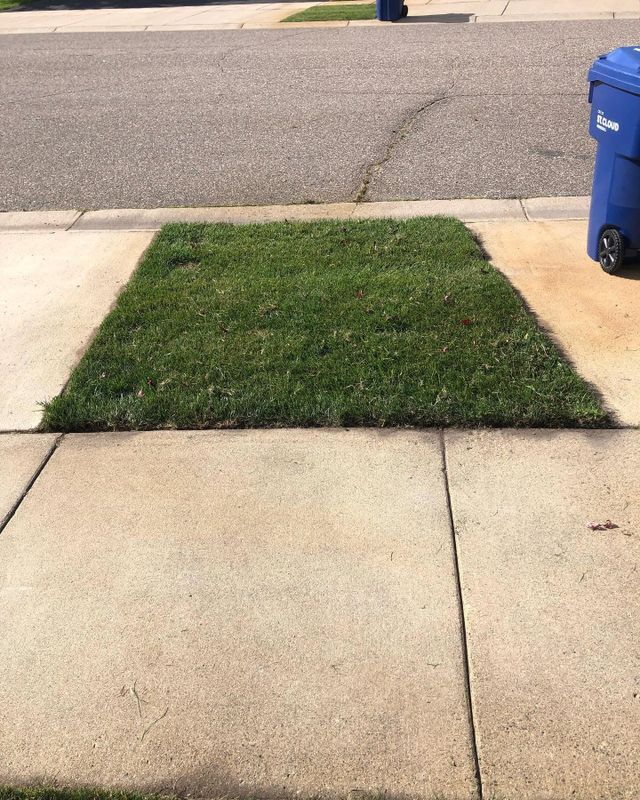 Landscaping