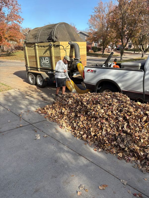 Seasonal Clean-Up
