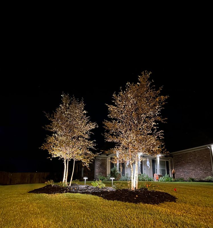 Landscape Design & Planting