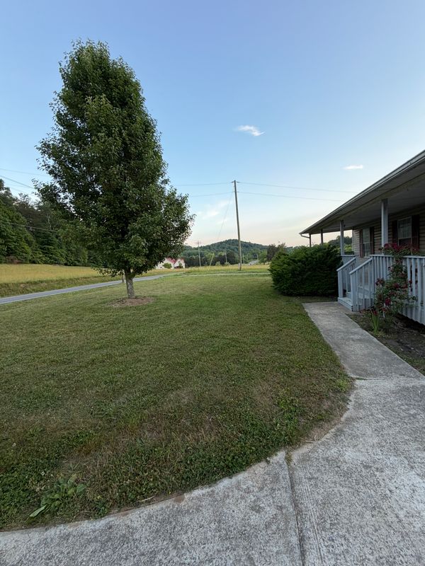 Lawn Maintenance
