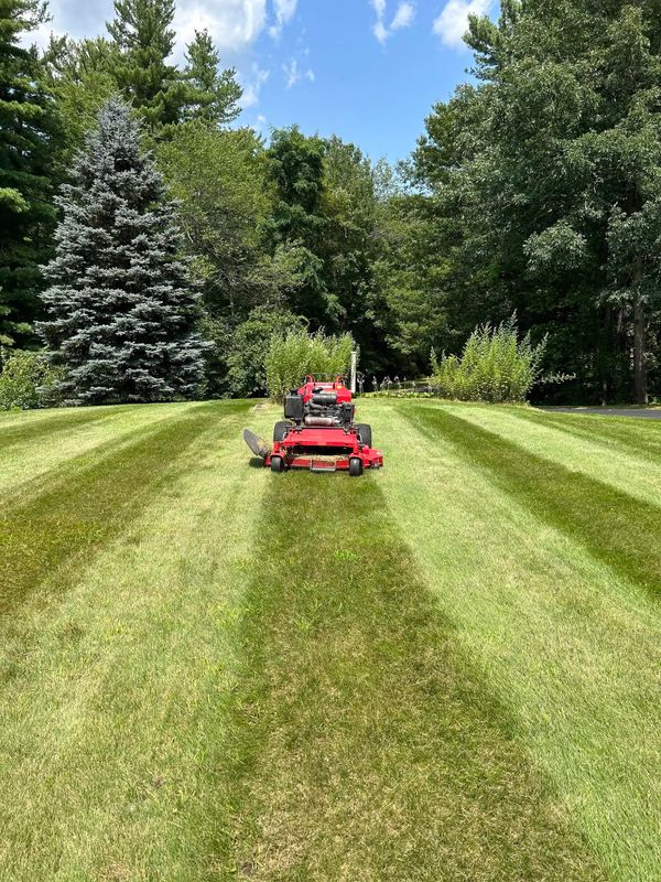 Lawn Maintenance
