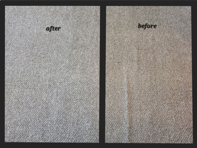 Carpet Cleaning