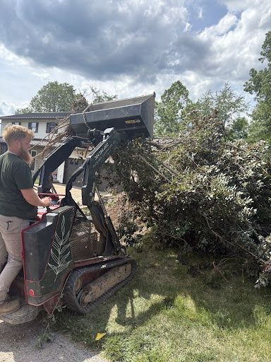 Land Clearing