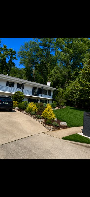 Lawn Care & Maintenance