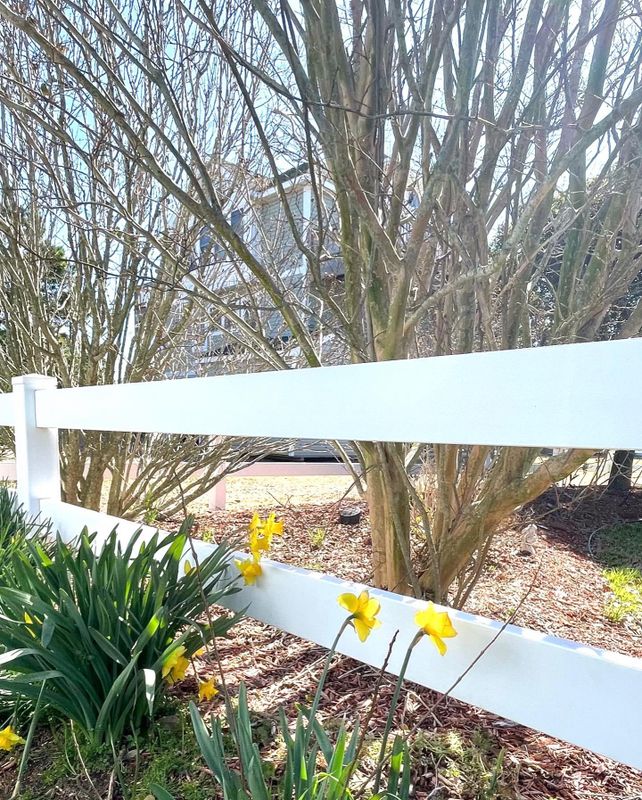Fence Cleaning