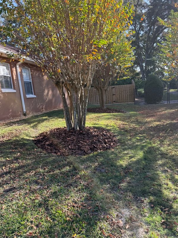 Mulch Installation