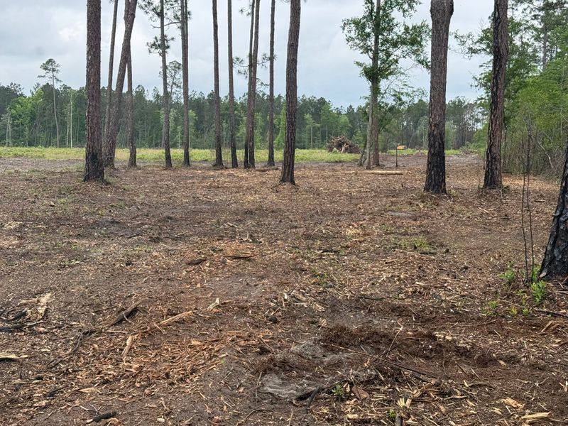 Land Clearing