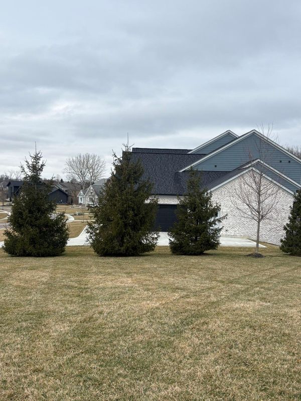 Shrub Trimming