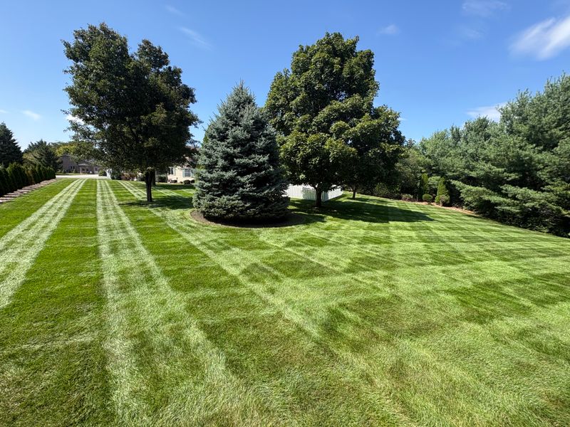 Mowing